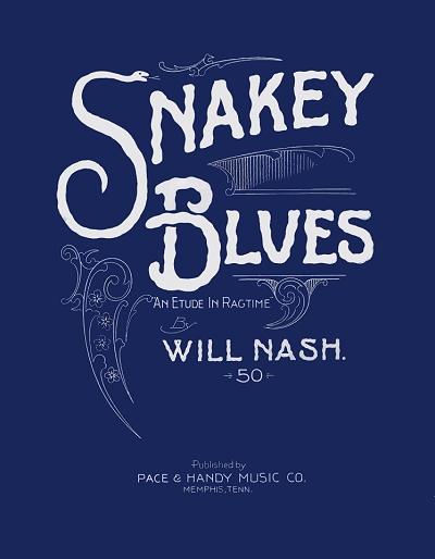 Snakey Blues - Original Cover